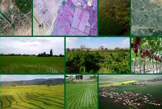 تجمیع و یکپارچه سازی بیش از ۱۳ هزار هکتار اراضی در دولت سیزدهم