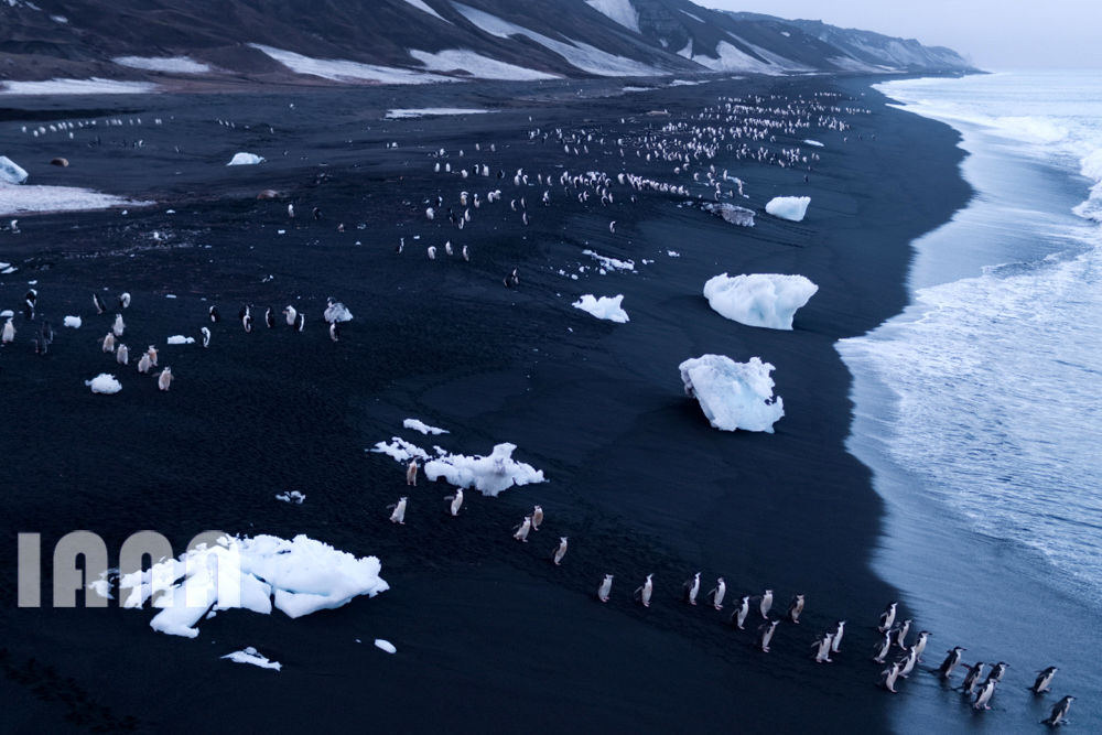 تغییر اقلیمی 