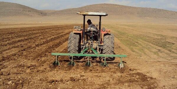 پیشتازی اصفهان در اجرای طرح الگوی کشت در کشور/ خداحافظی با گیاهان آب‌بر