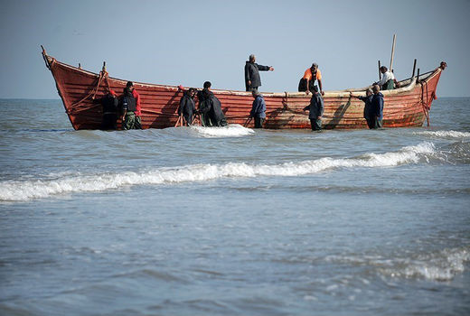 ممنوعیت صید آبزیان در استان‌های بوشهر و خوزستان از ۱۵ تیرماه