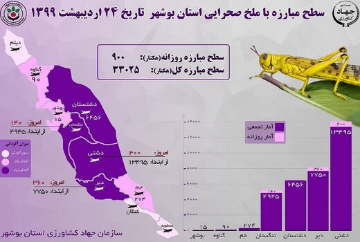 مبارزه با ملخ در استان بوشهر از ۳۳ هزار هکتار بیشتر شد