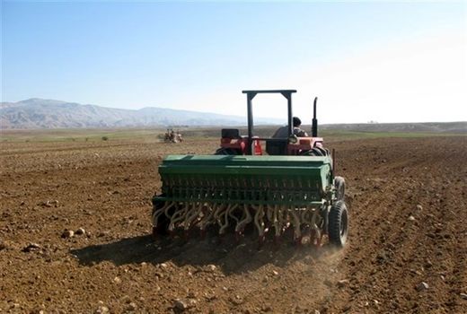 اجرای ۱۶۰۰ هکتار کشاورزی حفاظتی در استان بوشهر 