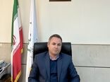 اجرای طرح تولید قراردادی گوشت مرغ در استان فارس آغاز شد