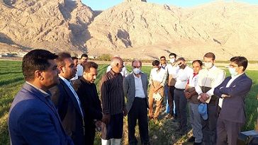 کانون بسیج جامعه کشاورزی مرودشت نمونه ملی شد