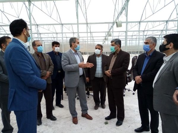 روسیه و آسیای میانه بازار هدف محصولات گلخانه ای ایران