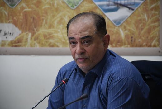 امسال نیازی به واردات گندم نخواهیم داشت 