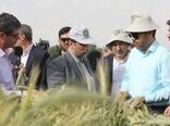 بازدید سرپرست وزارت جهاد کشاورزی از زیر مجموعه‌های تحقیقاتی سازمان تات