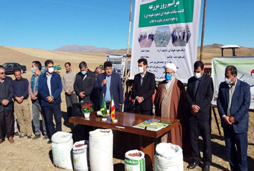 برگزاری مراسم روز مزرعه کشت نباتات علوفه ای در تناوب با غلات در هوراند