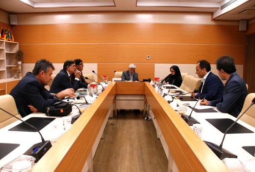 همکاری ایران و ترکیه برای توسعه صنعت بذر در کشور