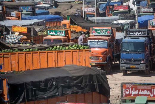 رشد 112 درصدی صادرات محصولات کشاورزی از استان کردستان