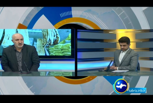 بازرسی ها از واحدهای نانوایی آذربایجان شرقی تشدید می شود