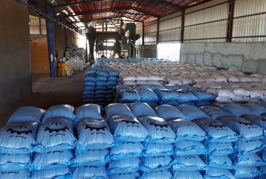 تولید سالانه 10 هزار تن بذر گندم و جو توسط 5 مرکز شبکه تعاون روستایی آذربایجان شرقی