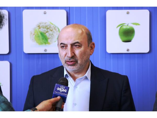 تولید 13 میلیون تن گندم در کشور/ خودکفایی در تولید گندم