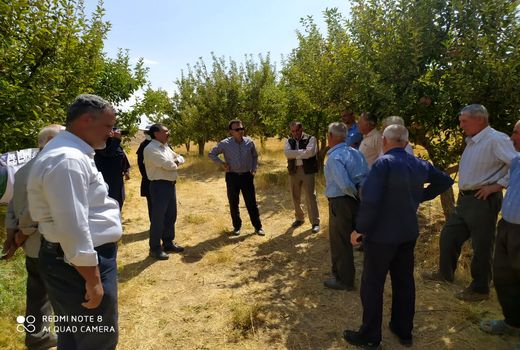 اجرای موفقیت‌آمیز طرح غیر شیمیایی کنترل آفت کرم سیب