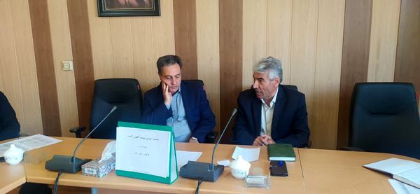 الگوی کشت بهینه در تبریز؛ ۱۴۰۰ هکتار مزارع کلزا در انتظار همکاری نهادها برای رفع موانع آبی