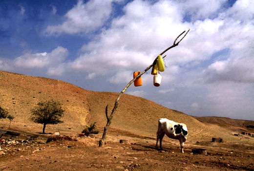 عزم جدی در اجرای طرح اصلاح الگوی کشت در کشور