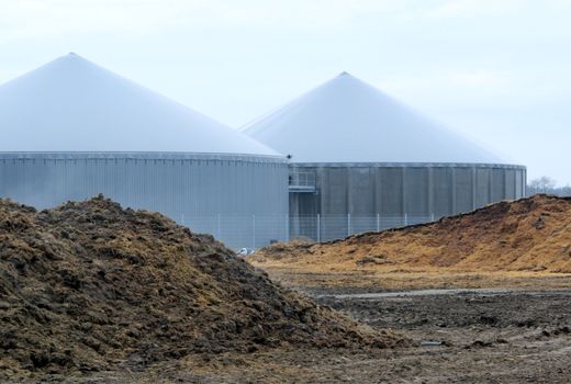 بیوگاز، نسخه نجات‌بخش تامین برق دامداری‌ها صنعتی