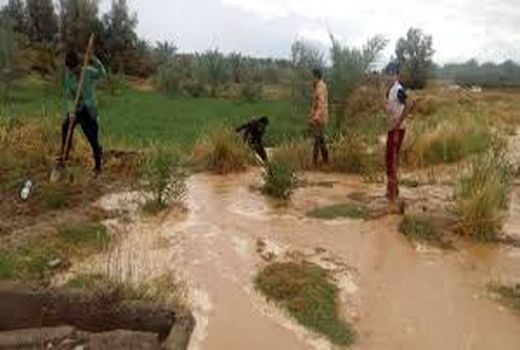 خسارت سیل به بخش کشاورزی مناطق شهداد و گلبافت