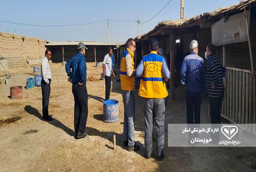 اجرای فاز اول طرح خدمت رسانی دامپزشکی در حوزه آبریز کرخه