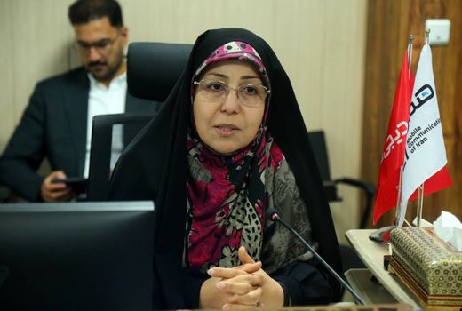اتصال زنان روستایی و عشایری به بازارهای الکترونیکی، شرط دستیابی به اقتصاد پایدار است