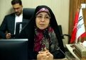 اتصال زنان روستایی و عشایری به بازارهای الکترونیکی، شرط دستیابی به اقتصاد پایدار است