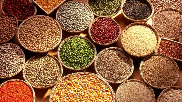 تنوع رقم پنج محصول اساسی در فهرست ملی ارقام گیاهی چگونه است؟