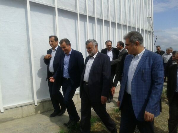 تکمیل زنجیره تولید کشاورزی از مزرعه تا سفره