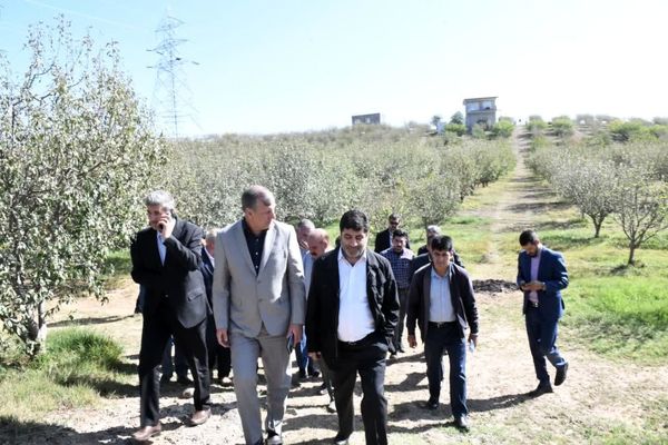 بررسی مسائل حوزه کشاورزی اهر با حضور عالی‌ترین مسئولین دستگاه‌های مربوطه