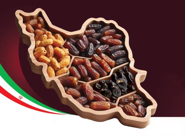 صادرات خرمای ایران از خام‌فروشی به فرآوری تغییر مسیر دهد