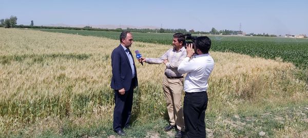 اجرای آبیاری‌ نوین در میاندوآب موجب صرفه‌جویی ۴۰ میلیون مترمکعبی آب شد 