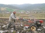 اقدامات پایدار سازمان جهاد کشاورزی گیلان برای شروع یک فصل زراعی موفق