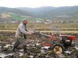 اقدامات پایدار سازمان جهاد کشاورزی گیلان برای شروع یک فصل زراعی موفق
