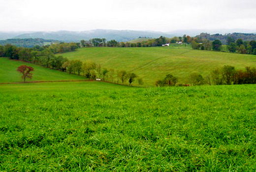 احیای 20 میلیون هکتار از مراتع کشور ذیل برنامه هفتم توسعه