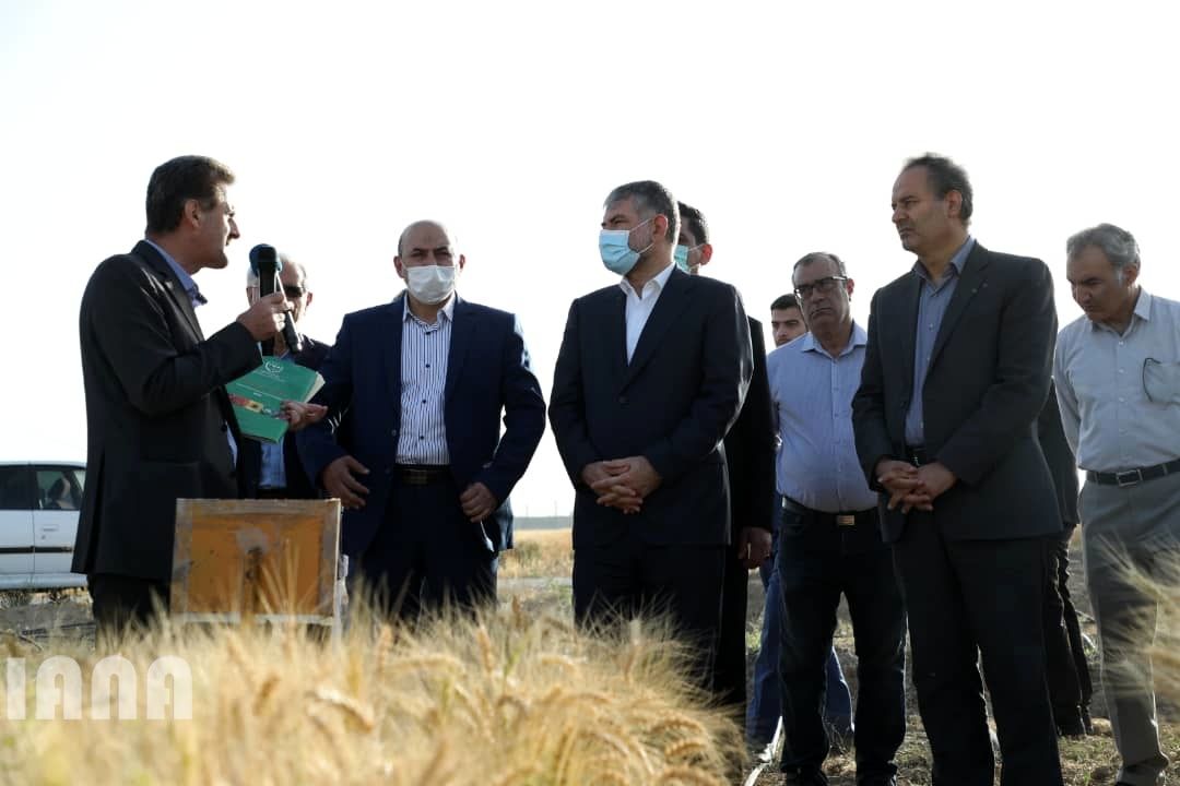 WhatsApp Image 2022-06-14 at 10.06.30 AM