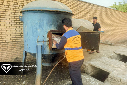 ضبط و معدوم سازی بیش از 400 کیلوگرم گوشت قرمز و مرغ منجمد در شوشتر