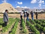 هشدار طبیعت به کشاورزی کازرون