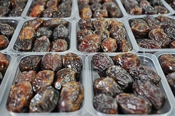ظرفیت سردخانه‌های خرما در استان بوشهر ۳.۵ برابر شد