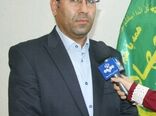 تاکید بر افزایش تولید تخم مرغ استان لرستان