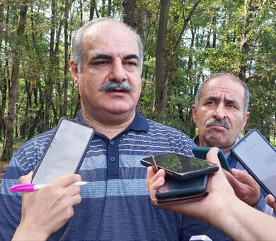 ۲۰۰ هزار هکتار زراعت چوب در کشور/ 7 میلیون مترمکعب در صنایع چوب کشور کمبود داریم