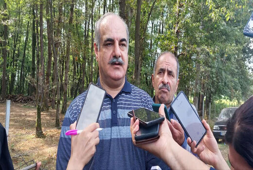 ۲۰۰ هزار هکتار زراعت چوب در کشور/ 7 میلیون مترمکعب در صنایع چوب کشور کمبود داریم