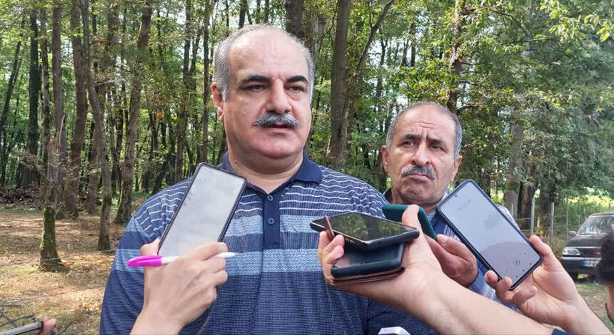 ۲۰۰ هزار هکتار زراعت چوب در کشور/ 7 میلیون مترمکعب در صنایع چوب کشور کمبود داریم
