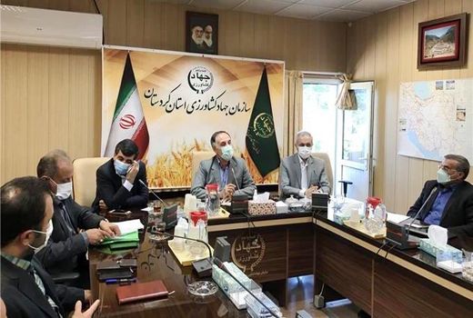 کردستان مسیری ناامن برای قاچاقچیان جوجه یکروزه