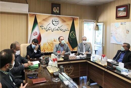 کردستان مسیری ناامن برای قاچاقچیان جوجه یکروزه