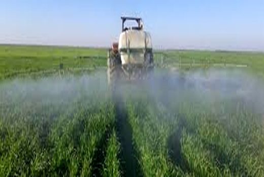 آشنایی با سموم کشاورزی و استفاده از آنها در خرمشهر
