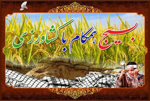 به‌کارگیری 555 نفر فارغ التحصیل کشاورزی در طرح همگام با کشاورز در مازندران