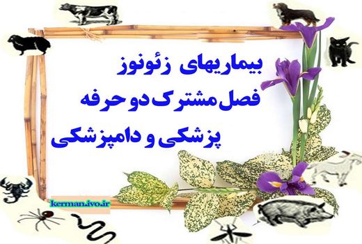 بیماری‌های زئونوز فصل مشترک دو حرفه پزشکی و دامپزشکی