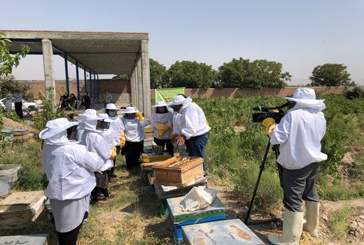 برگزاری کارگاه منطقه ای آموزش عملی تولید ژل رویال در شهرستان بناب