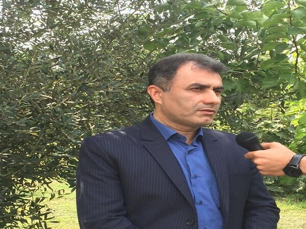 آغاز 17 طرح تجهیز و نوسازی اراضی شالیزاری در گیلان