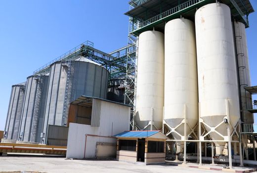 ارتقاء کیفیت خوراک‌های دام، طیور و آبزیان آماده
