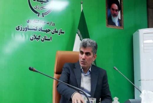 تولید هر یک خانوار عشایر برای مصرف ۱۶ خانوار شهری در گیلان